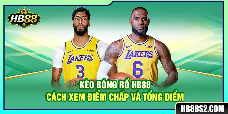 Kèo Bóng Rổ HB88 – Cách Xem Điểm Chấp Và Tổng Điểm