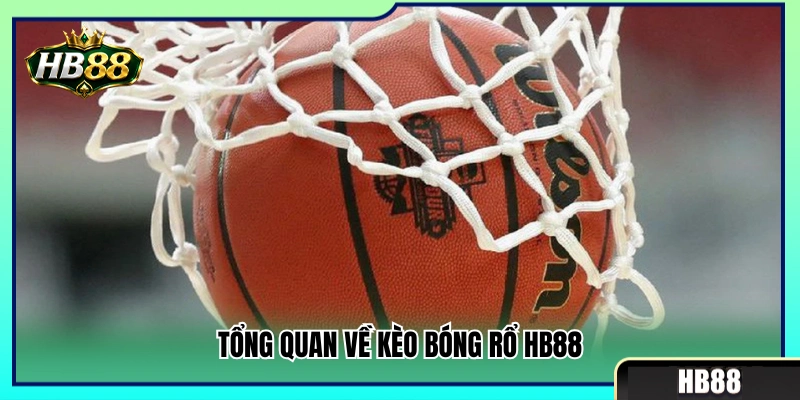 Khám phá thế giới kèo bóng rổ HB88 