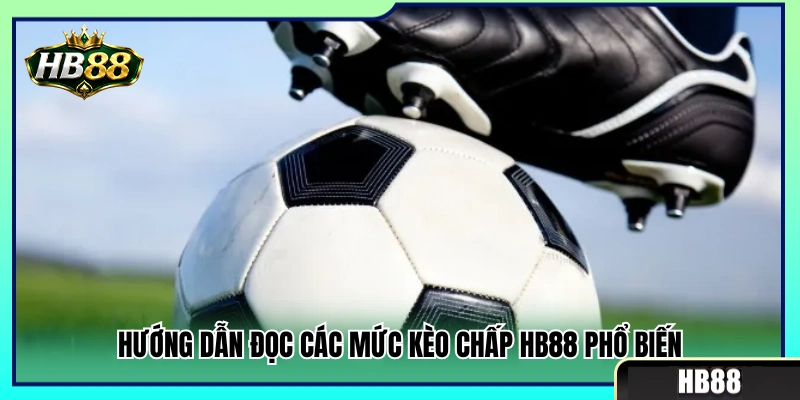 Cách xem những tỷ lệ cược chấp hay gặp 