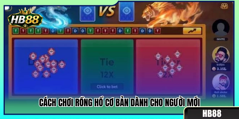 Quy tắc tham gia rồng hổ cơ bản cho người mới bắt đầu 